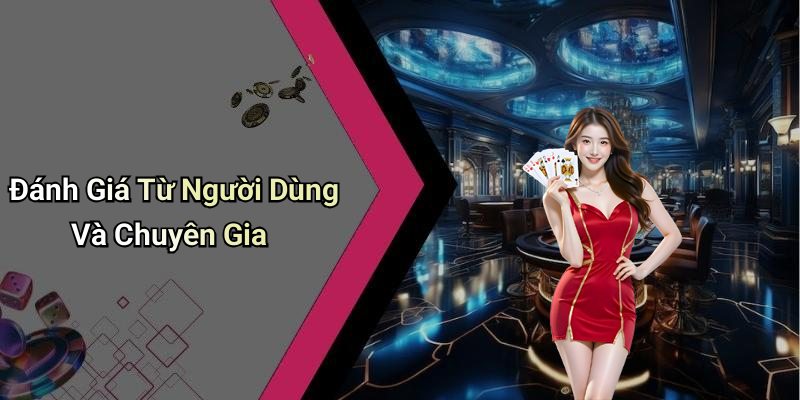 Đánh Giá Từ Người Dùng Và Chuyên Gia